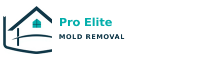 Pro Elite Mold Removal
